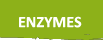 ENZYM