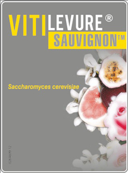 sauvignon