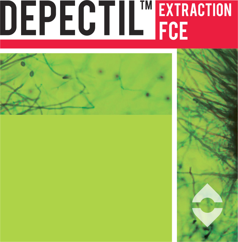 extraction-fce